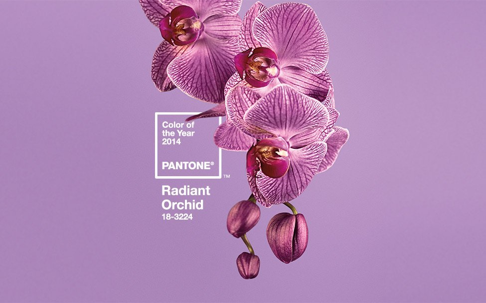 Pantone 2014.