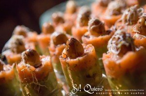 Buffet de mini timbales. | Goyo Catering